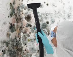 Reliable Washington Court House, OH Mold Prevention & Removal  Solutions